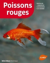 Poissons rouges (NE)