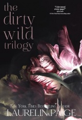 Dirty Wild Trilogy