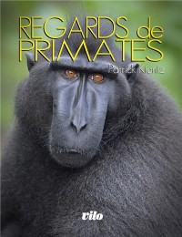 Regards de primates