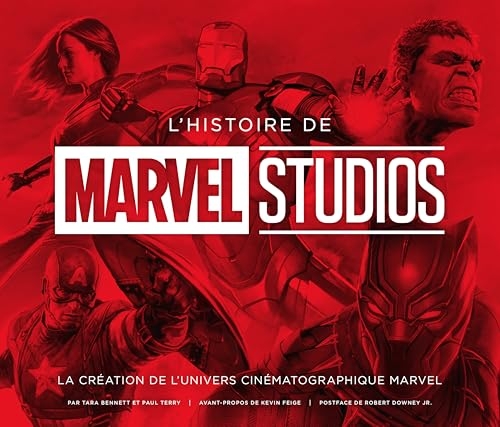 L'histoire de Marvel Studios, La création de l univers cinématographie Marvel