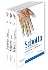 Atlas d'anatomie humaine Sobotta