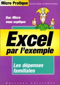 Excel par l'exemple les dépenses familiales