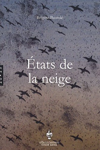 Etats de la neige