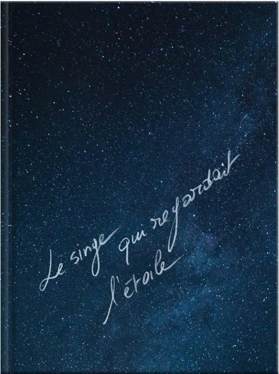 Le singe qui regardait l’étoile