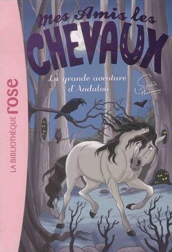 Mes amis les chevaux 21 - La grande aventure d'Andalou