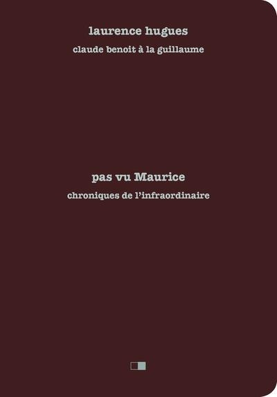 Pas vu Maurice. Chroniques de l'infraordinaire