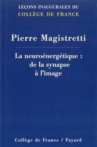 La neuroenergetique : de la synapse à l'image