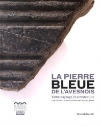 La pierre bleue de l'Avesnois, entre paysage et architecture : Les collections du Forum antique de Bavay