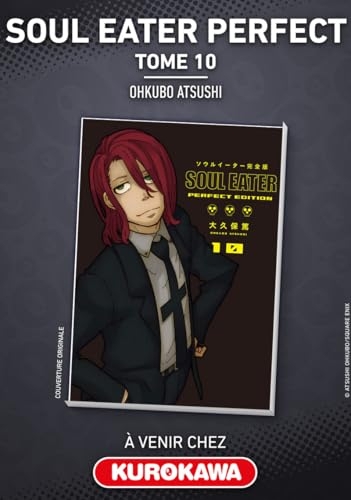 Soul Eater Perfect Edition - Tome 10