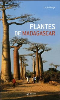 Plantes de Madagascar