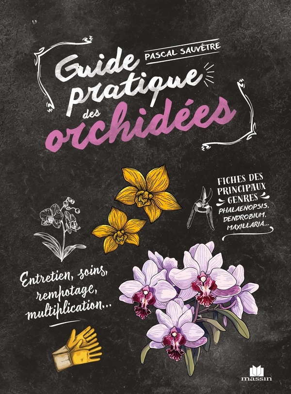 Orchidées